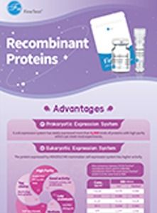 Protein Exhibition Board