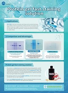 Protein Gel Fast Staining Solution